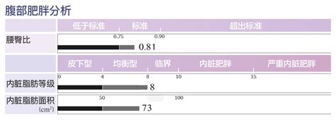 腹部肥胖分析